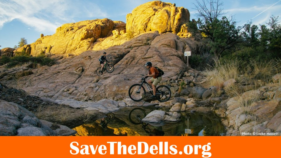 Save the Dells