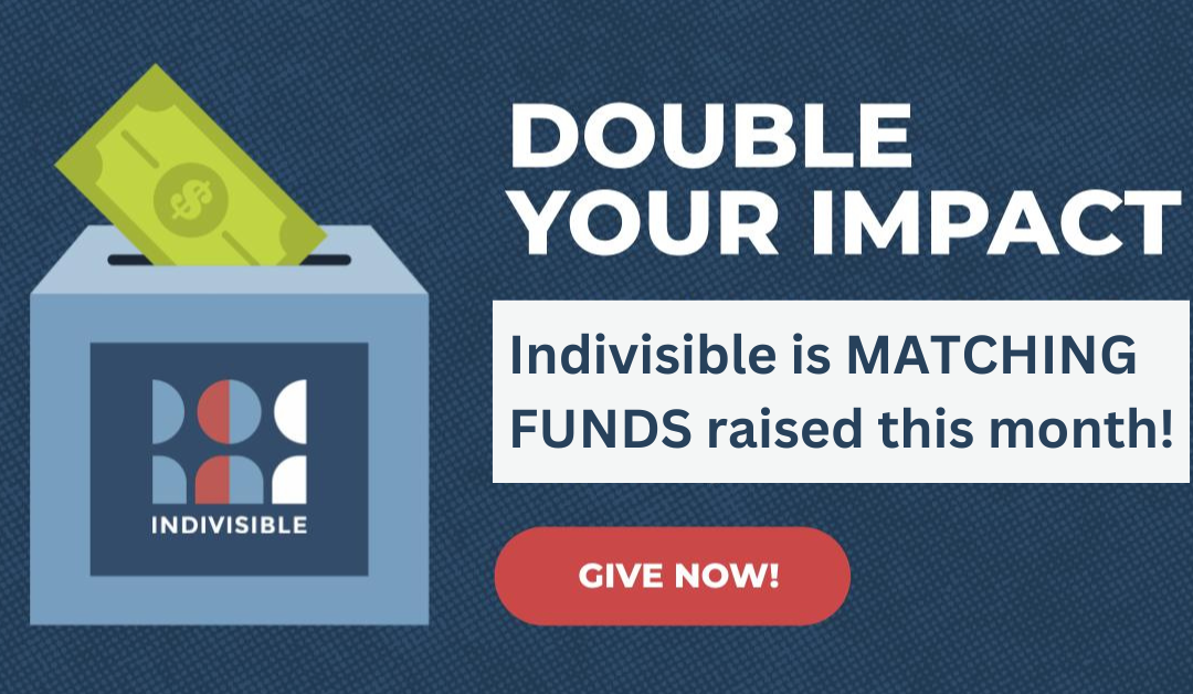Indivisible Matching Funds: Please Donate