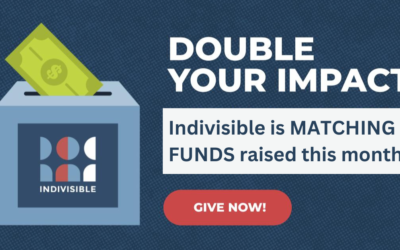 Indivisible Matching Funds: Please Donate