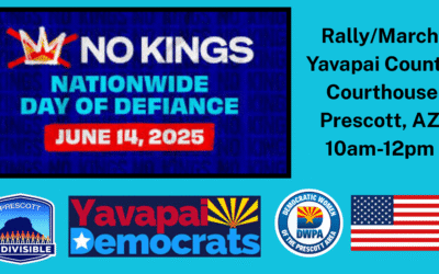 NO KINGS Protest: Sat June 14 @ Courthouse
