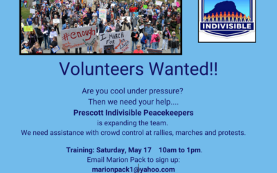 Peacekeeper Team Needs Your Help